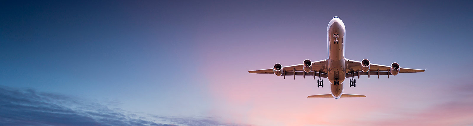 Panorama of a landing plane